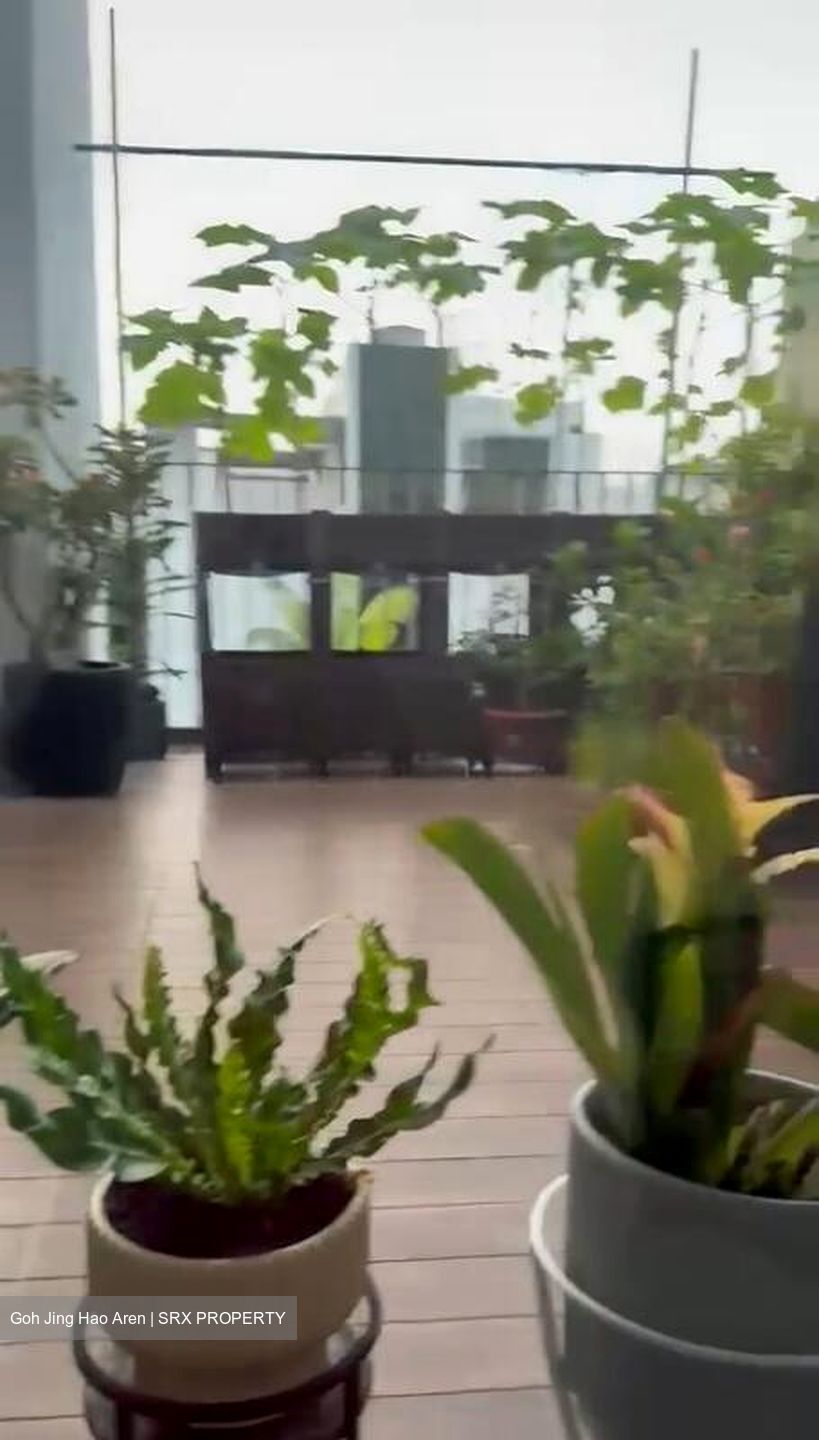 Alana (D28), Terrace #497763531